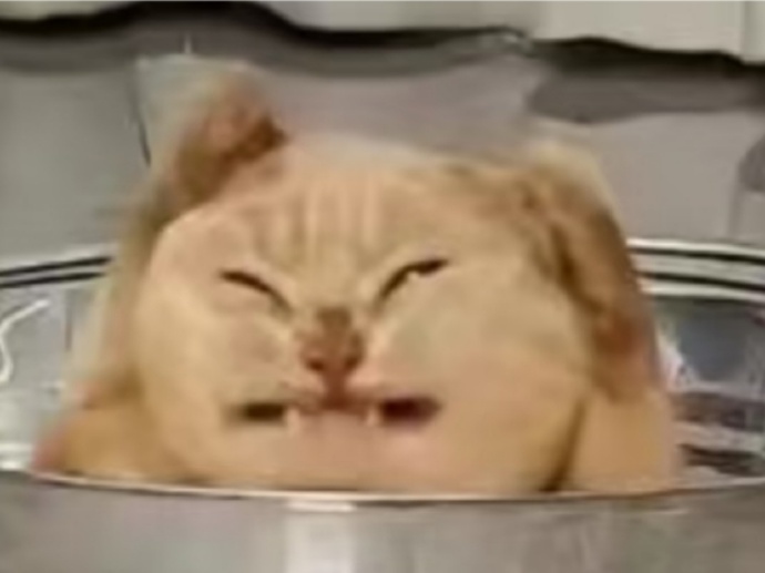 具体症状就, 当马斯坦托, alt 具体症状就, 当马斯坦托, alt